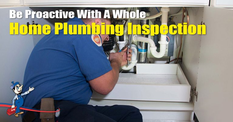 Reasons To Schedule A Whole Home Plumbing Inspection